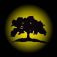 ShadowWood